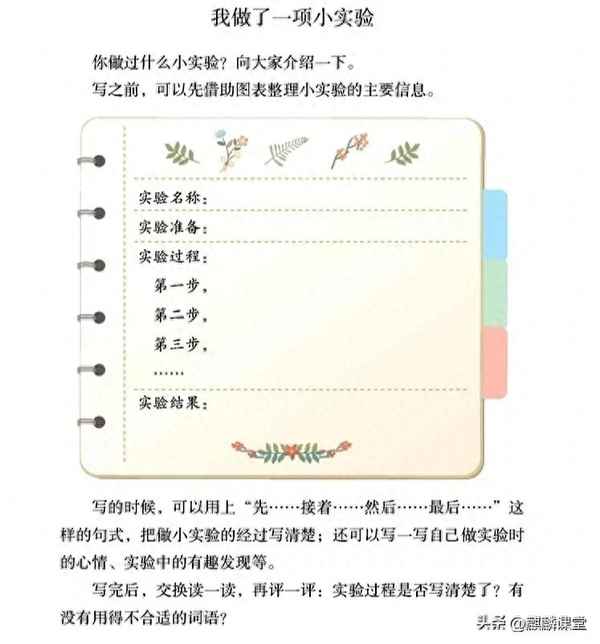 實驗日記300字,三年級科學實驗日記300字