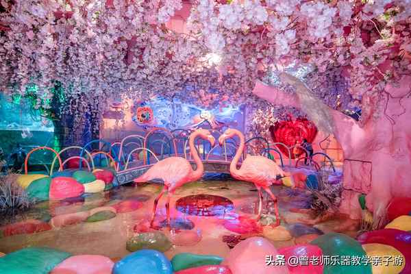西安曲江海洋館門票價格、西安曲江海洋館門票價格查詢