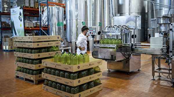 食用油走势分析最新消息今日价格;公认最健康的三种食用油