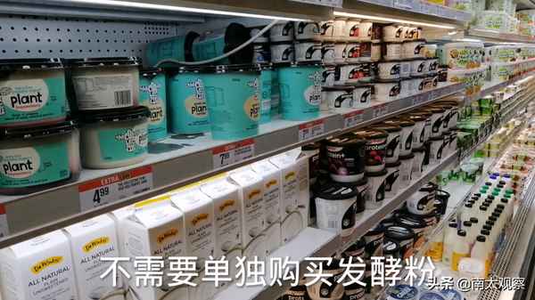 酸奶機怎樣做酸奶視頻教程(酸奶機怎樣做酸奶視頻教程全集)
