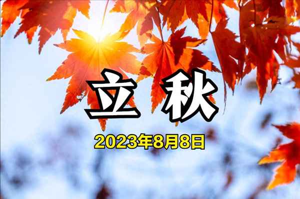 立秋必吃三大食物？(立秋必吃的9種食物)