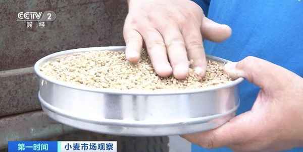 今麦财经、今日财经数据