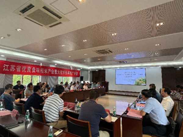 江苏稻子一年几熟,江苏的水稻什么时候熟