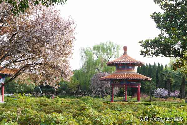 洛陽中國國花園開放時間—洛陽中國國花園從哪個門進