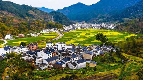 未来三年做什么行业最赚钱-如何创业白手起家