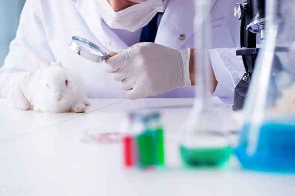 臨床醫生進修個人小結-臨床醫生進修總結