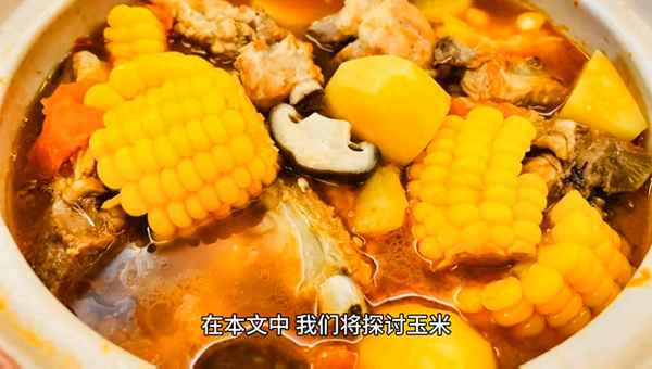 排骨玉米土豆湯怎么燉最好喝—排骨土豆玉米湯怎么燉好喝又營養(yǎng)