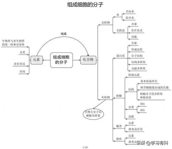 高一生物必修二第三章思維導圖;高一生物必修二第二章第三節