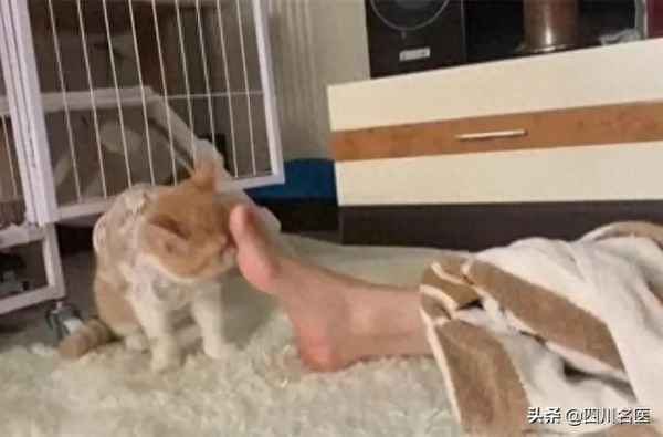 怎判断脸上是真菌感染(怎判断脸上是真菌感染还是湿疹)