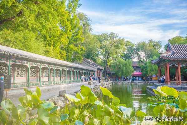 什么風水是招馬蜂窩(馬蜂入宅三年風水說法)