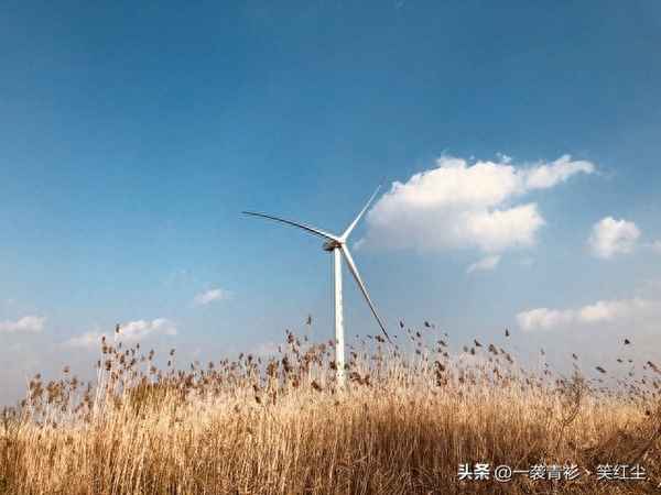 10条经典智慧的句子-智慧的经典语句