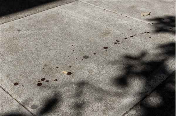 硅谷最大的受害者是谁—硅谷大佬有哪些