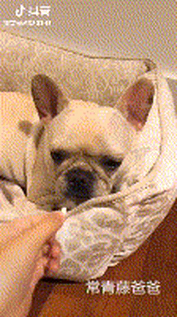 10岁小孩吃成人阿莫西林(10岁小孩吃成人阿莫西林吃多少)