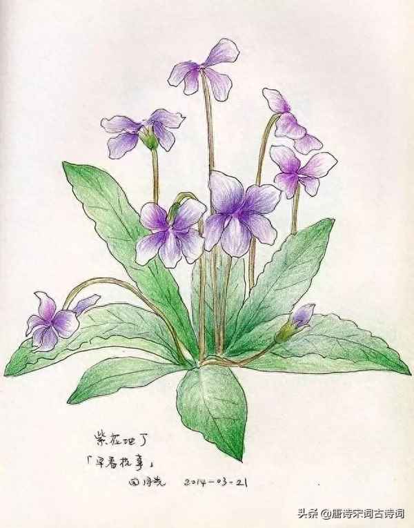 乱花渐欲迷人眼下一句是什么,乱花渐欲迷人眼下一句是什么呢