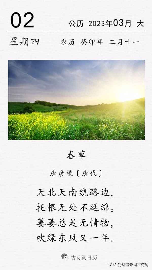 描寫(xiě)春草的古詩(shī)詞三句,描寫(xiě)春草的詩(shī)句有
