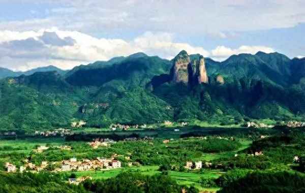 裴家地綠牡丹茶兩罐裝多少錢;江山裴家綠牡丹茶多少錢