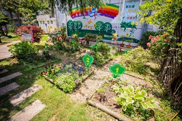 上钢新村属于什么镇-上钢新村属于哪里