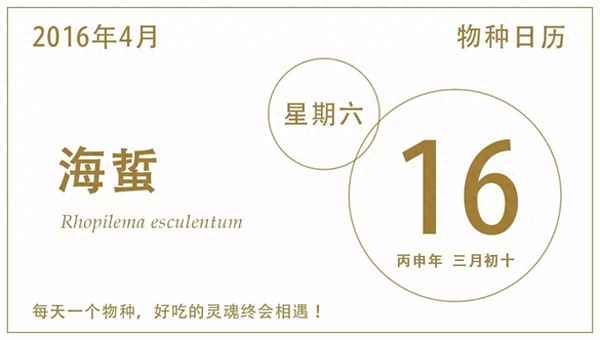 海蜇長(zhǎng)什么樣子圖片—水母長(zhǎng)什么樣子圖片