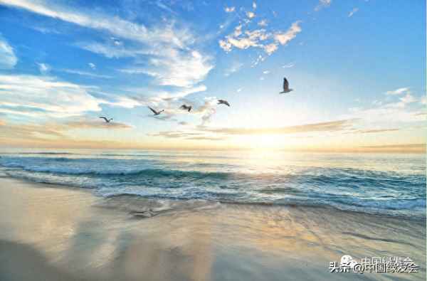 保護海洋 我們能做些什么？_保護海洋我們能做些什么事情