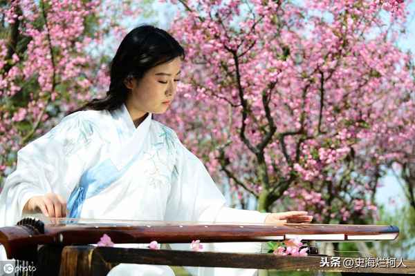 古琴与文化、古琴与文化自信有什么关系