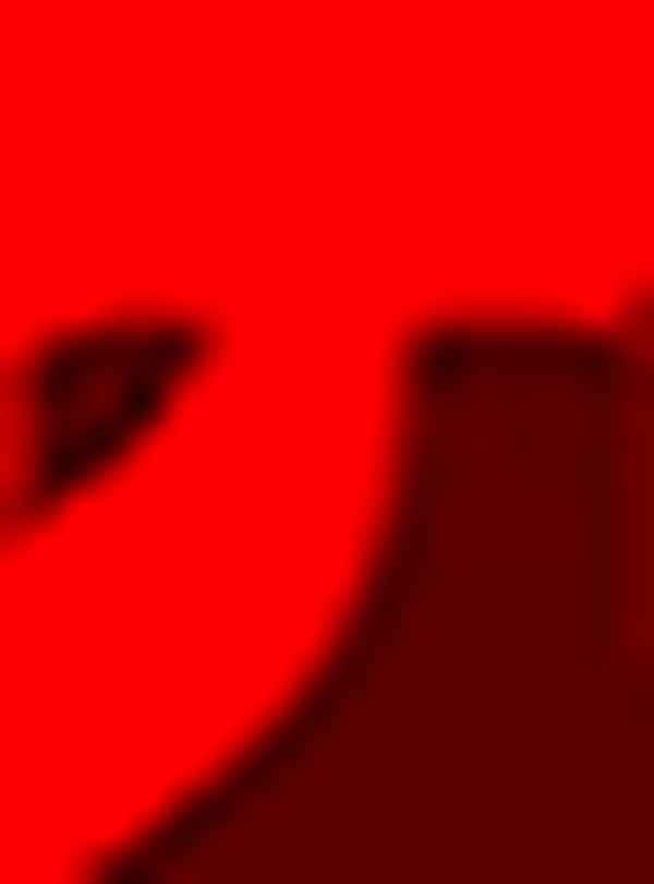 百丈山记原文有多少字(百丈山记文言文阅读理解)