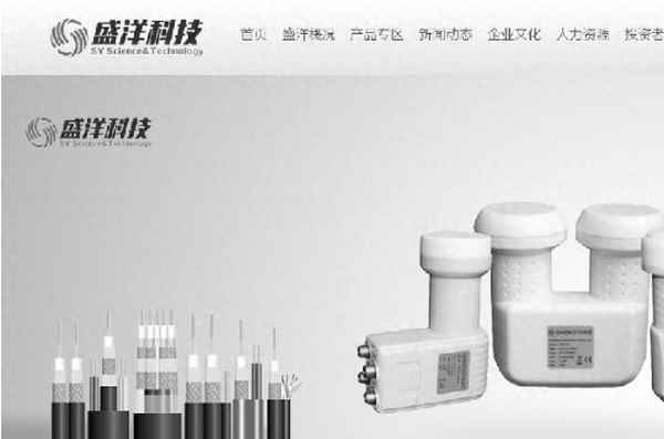 盛洋科技是上市公司吗;猛狮科技股票