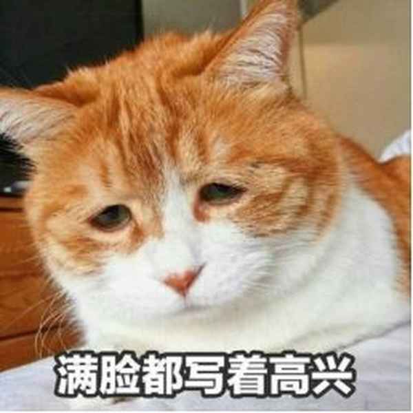 綜合柜員崗位自我評價(綜合柜員崗位自我評價100字)