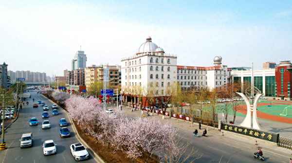 桃花风起正清明阅读,桃花风全诗