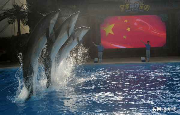 距離沈陽最近的海洋樂園;沈陽有沒有海洋公園