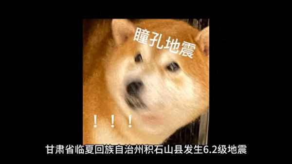 财经24小时—财经24小时滚动播报