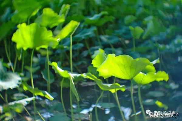 個人安全生產反思材料—個人反思發言稿