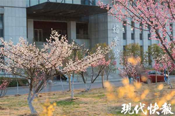 大学老师的饭卡要自己充钱吗、老师的饭卡是怎么发放的