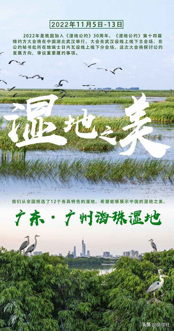 海珠濕地公園的景點(diǎn)介紹;海珠濕地公園百度百科