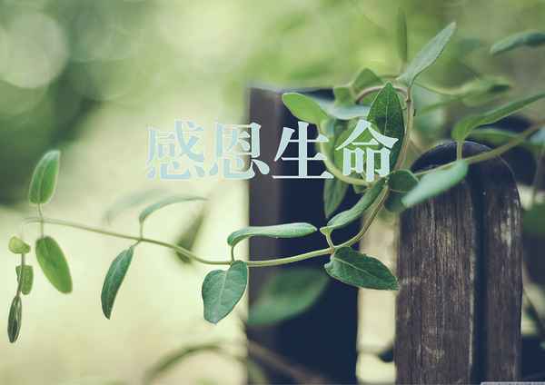 敬畏生命作文200字(敬畏生命作文200字左右)
