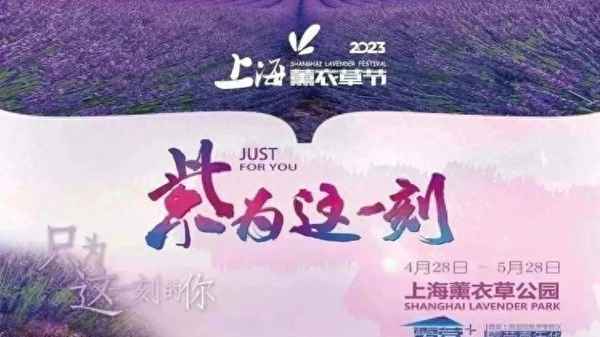 上海中心大廈觀光廳門票價格;上海中心大廈觀光廳門票價格60周歲有優惠嗎