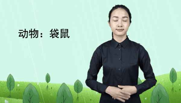 手语入门视频教程—手语入门视频教程新起点手语