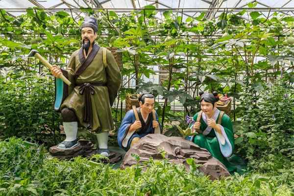 本草纲目主要介绍了什么-本草纲目的简要介绍