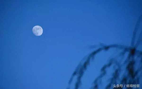 清风知我意,明月照我心全诗_明月寄相思的唯美诗句