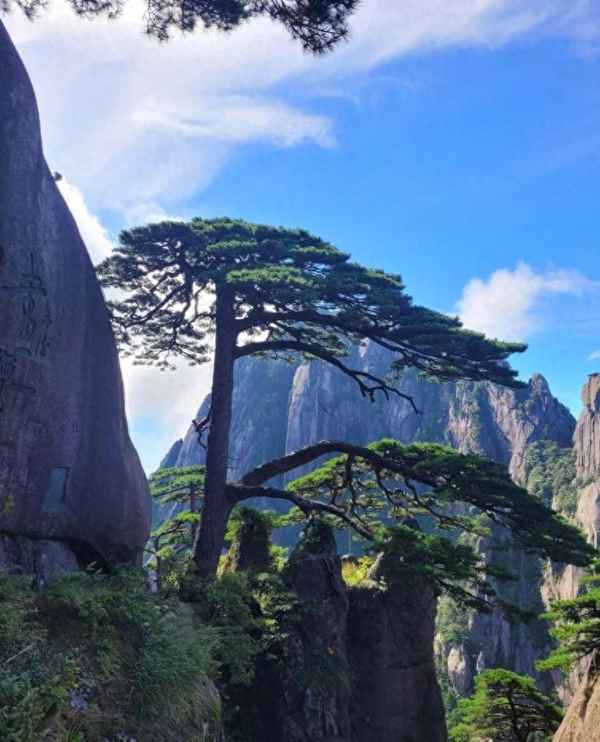 黃山二日游最佳路線圖;黃山二日游最佳路線圖 第一天中午上山