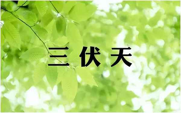 三種人堅決不能吃蓮子;蓮子一天吃多少顆合適
