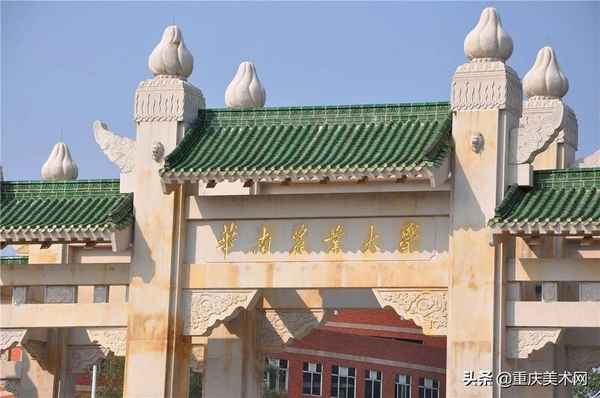 西安财经美术、西安财经美术生学费