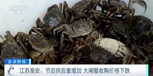 财经大闸蟹,大闸蟹 股市