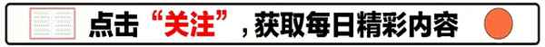 楊冪的公司叫什么在哪里,楊冪的公司叫什么名字在哪里