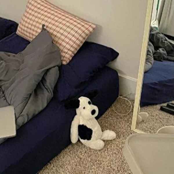 花有重开之日,朝暮皆为少年之时;花有重开之日,朝暮皆为少年之时是什么意思