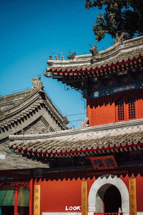 全國佛學院排名前十名—佛學院學費一年多少