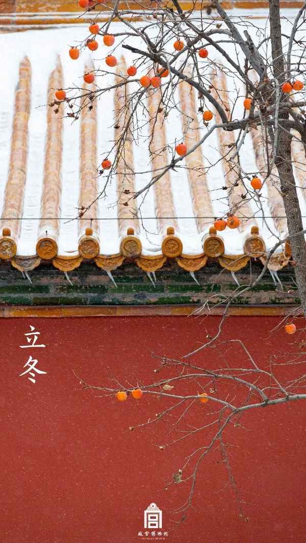 故宮的作文精彩段落_故宮美景的作文
