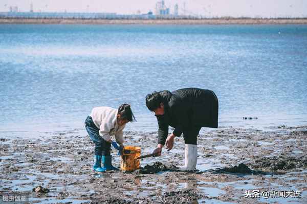 長海縣海洋島旅游攻略—長海縣海洋島旅游攻略路線