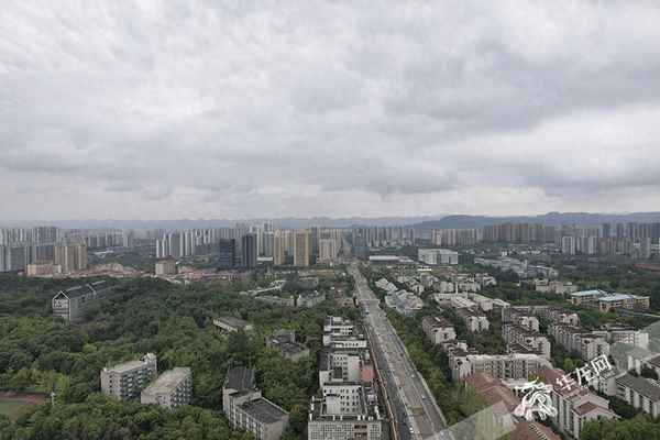 重庆十日内天气情况;重庆温度未来10天气