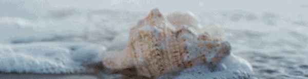 华润石梅湾值得买吗现在(海南万宁华润石梅湾规划)