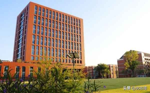 上海财经大学报录比_上海财经大学报录比研究生